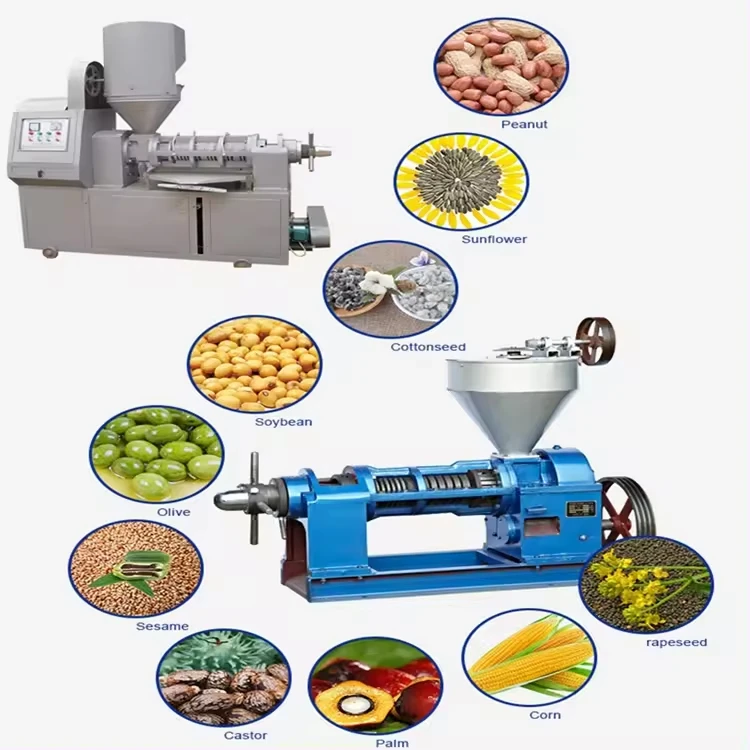 Virgin Coconut Oil Making Machine Groundnut Oil Expeller Screw Machine For Small Business