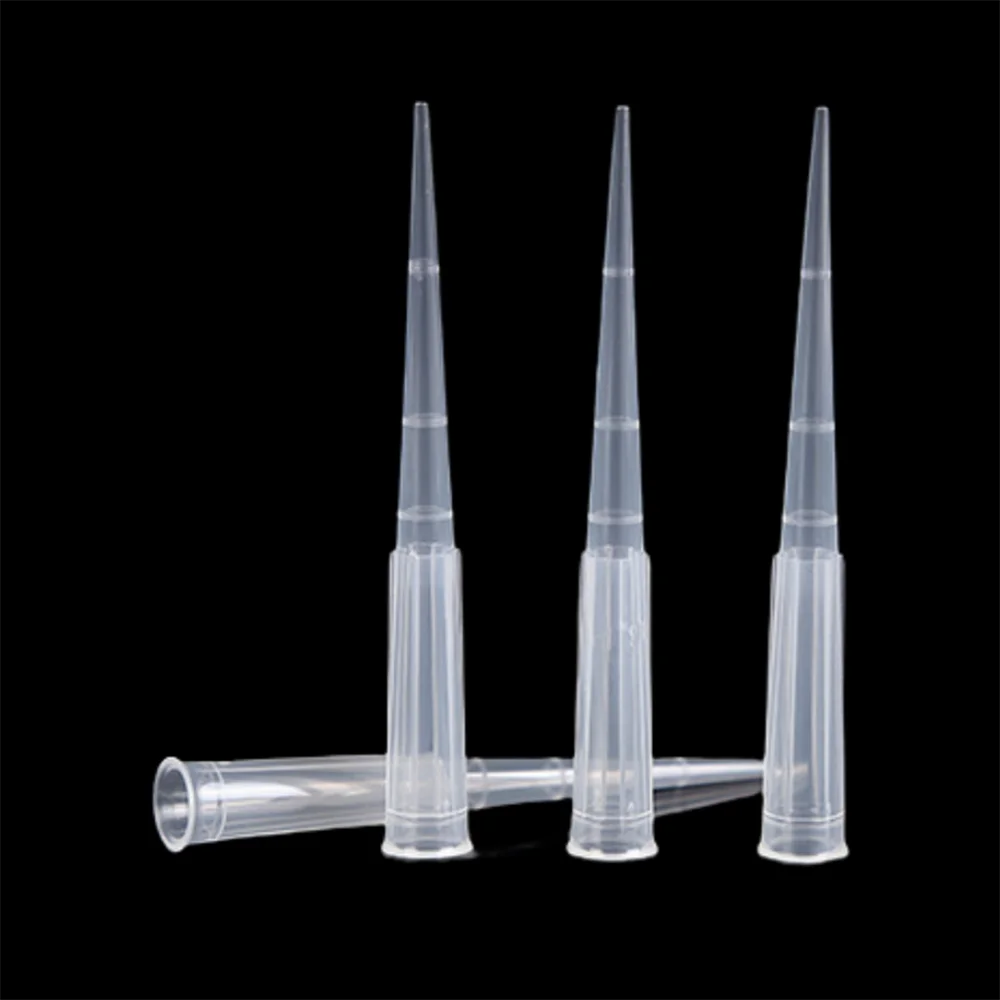 250uL Filter Tips Bagged Boxed Sterile Pipette Tips