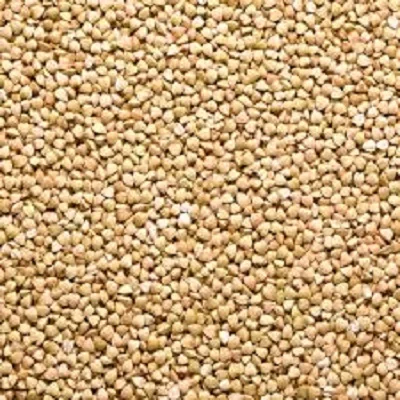 high quality Bulk Supply Organic buckwheat price