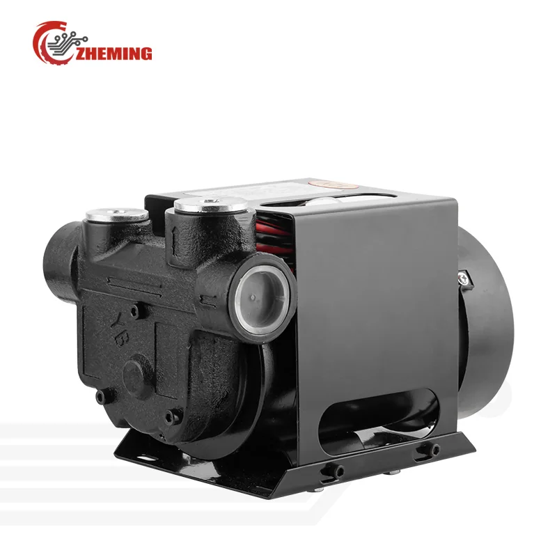 Zheming 12 Volt Oil-Pump-Electric-12-V-For-Car Portable Electric Small Car Transfer Pump Oil Fuel