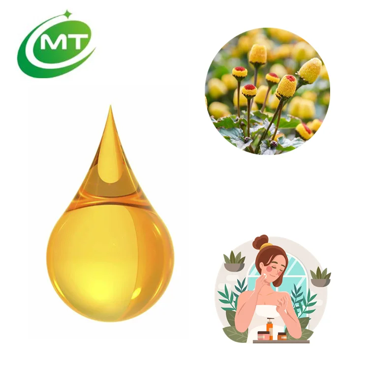 Organic 5% Solid Spilanthes Acmella Extract/Acmella oleracea Paracress Extract Liquid Oil for Skin Care in Cosmetics