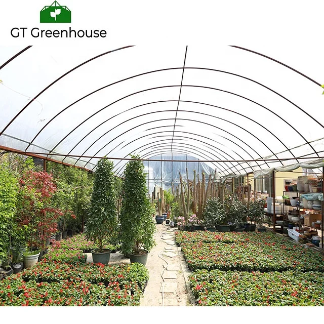 Snail Farming Agriculture Types 5th Generation Greenhouses Commercial Green House