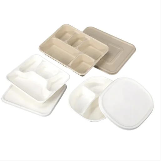Customized Biodegradable Disposable Plates 5 Compartment Sugarcane Bagasse Tray for Wedding