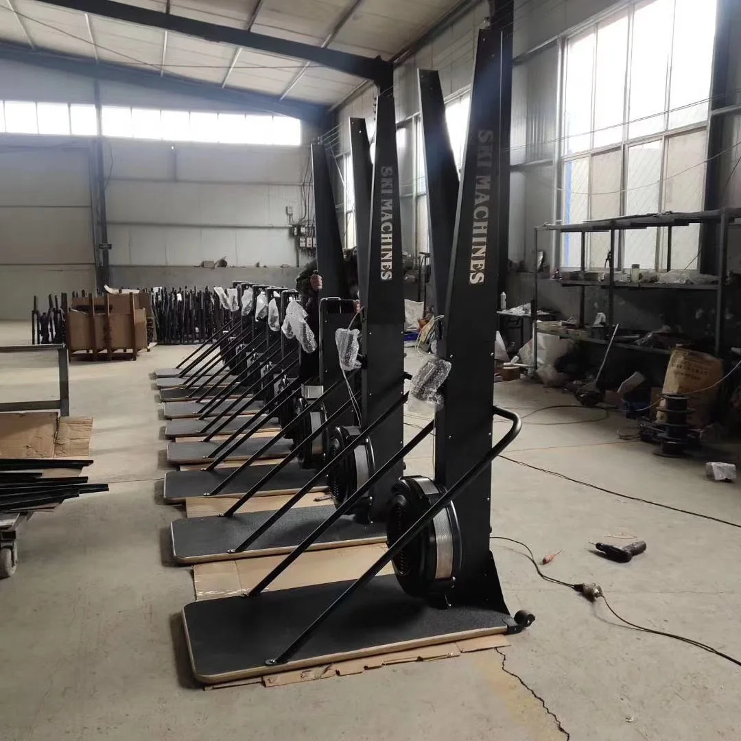 Home Gym Fitness Equipment Ski Machine Body Strong Cardio Exercise Indoor Customized COLOR Ski Machine
