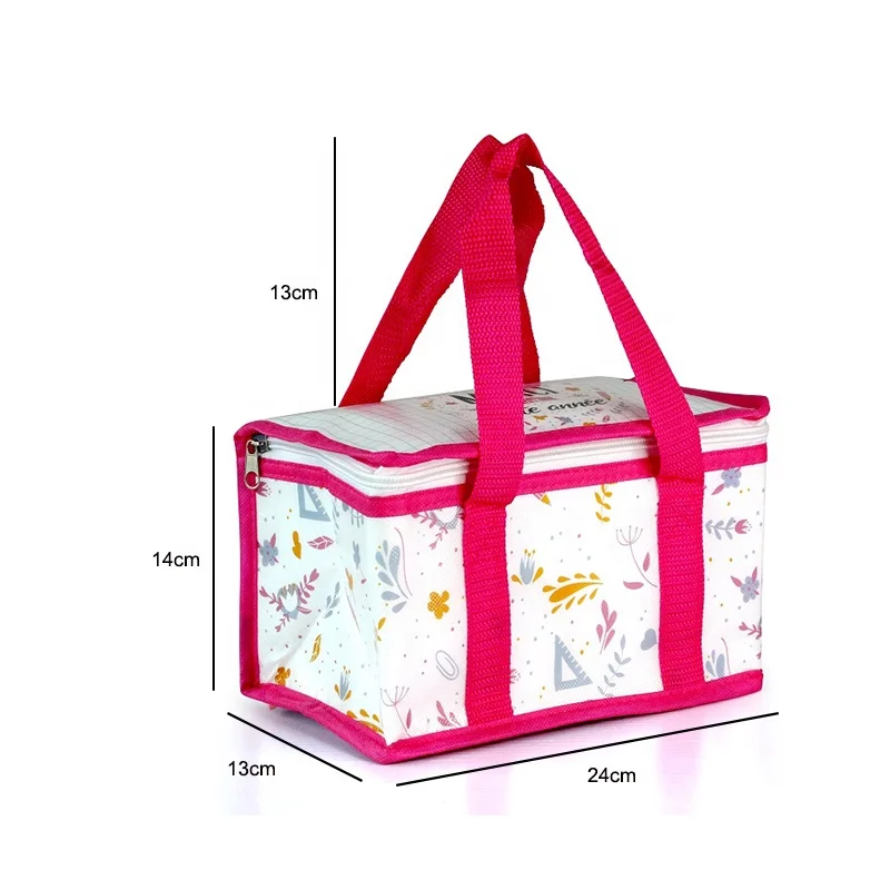 Eco friendly small size reusable laminated non woven 6 can aluminium cooler insulated lunch bag