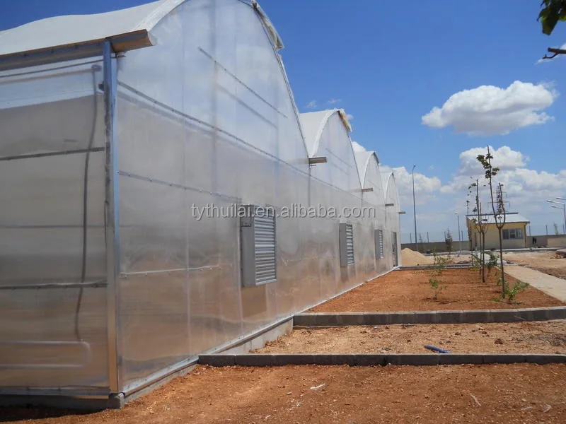 Commercial Plastic Film Tunnel Greenhouse Galvanized Agriculture Transparent Greenhouse Tunnel Garden Greenhouse