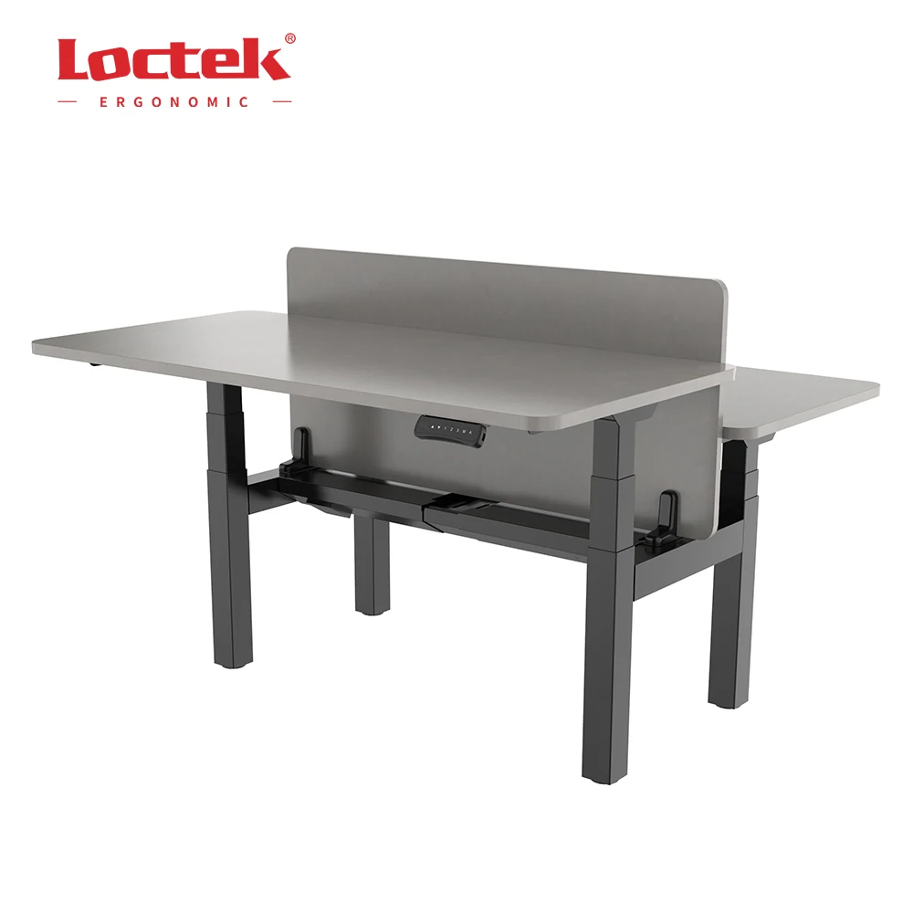[Fast Delivery US&DE Inventory] Office Sit Stand Lifting Electric Table Dual Benching Height Adjustable Standing Desk ET223H(IB)