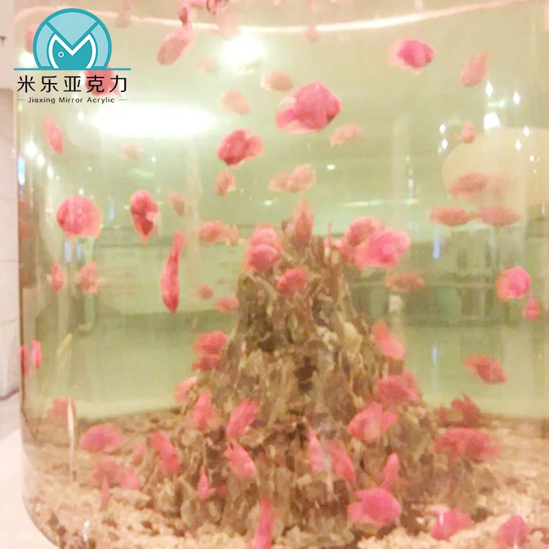 Spot low price indoor cheap cylinder acrylic fish tank decoration aquarium accessories