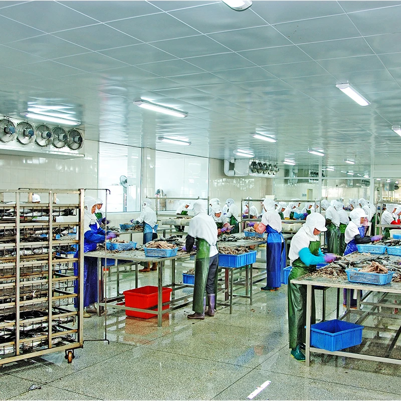 125g 50tins Cheap Price Canned Sardine Titus Fish in Vegetable Oil Body OEM Style Piece Packaging Pcs Weight Easy Shelf Origin