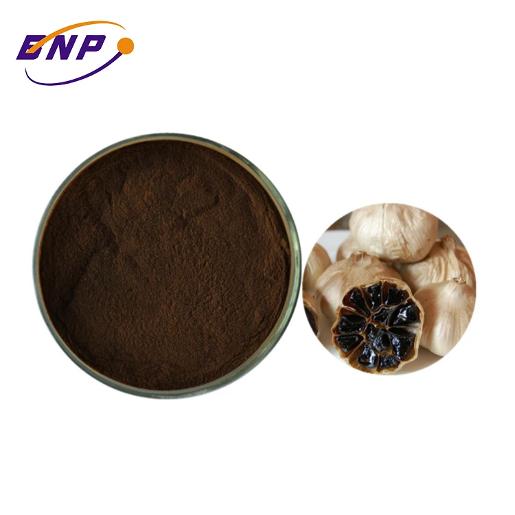 
Hot Selling Pure Natural Aged Black Garlic Extract Powder For Anti-Oxidation fresh garlic allicin 