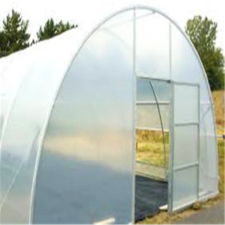 Теплица для сельского хозяйства с одним туннелем из Китая