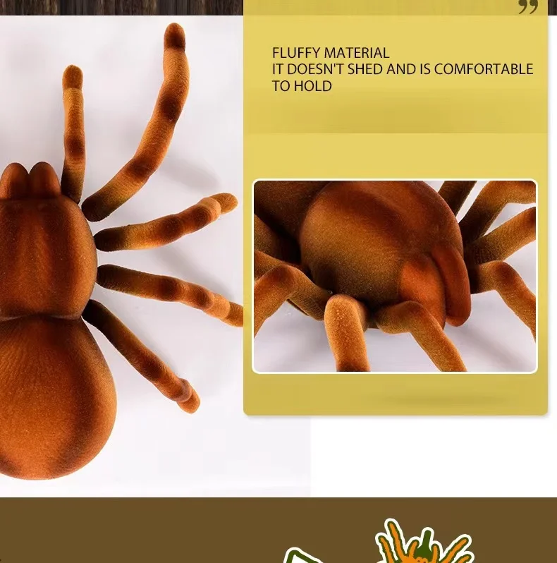 remote spider (1).jpg