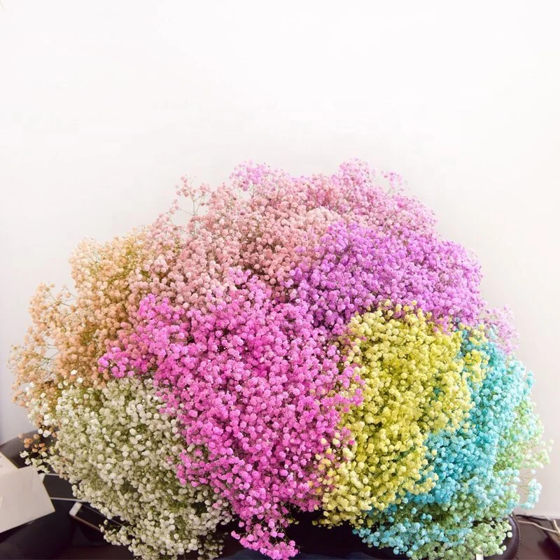 M032 Wedding Bouquet Bunch Mini Dried Flowers White Natural Real Dried Flowers Gypsophila Preserved Babys Breath Flowers