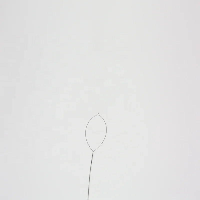 Disposable Endoscopic Grasper and Baskets Polyp Snare