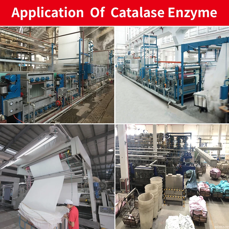 Factory  peroxide killer catalase for textile  auxiliary agent  industrial chemicals