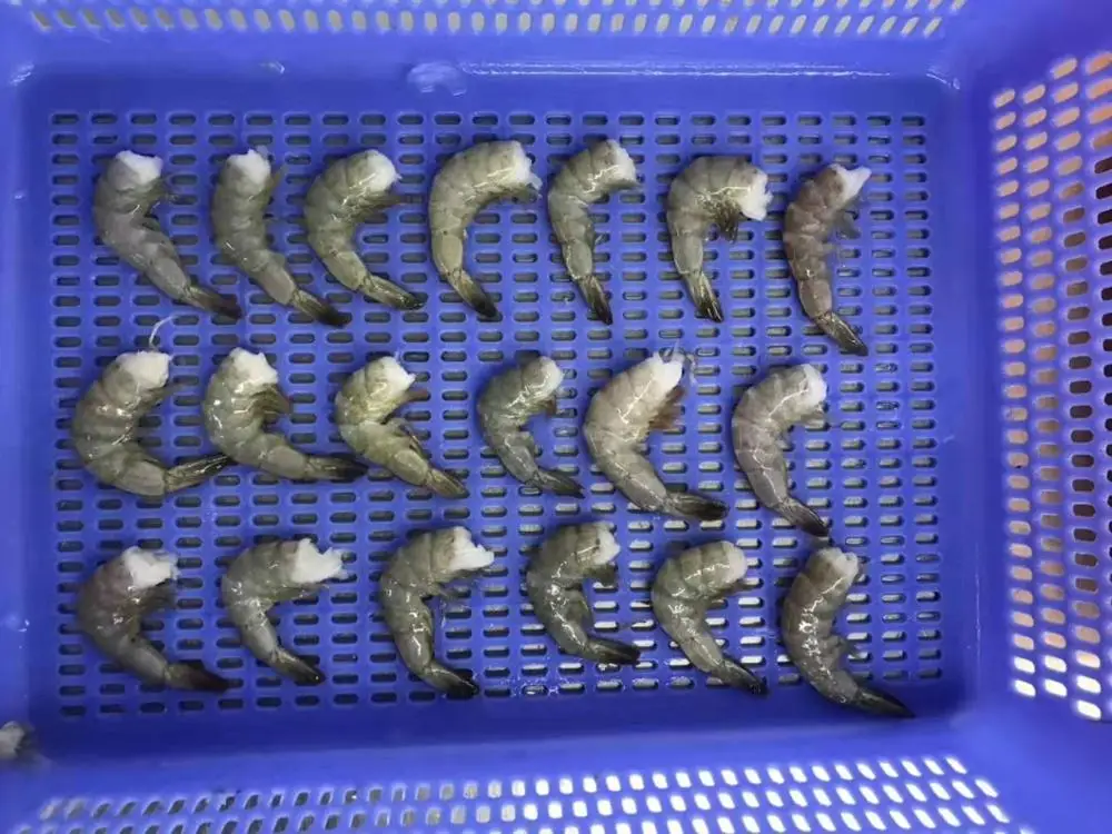 Cheap price hot selling product Frozen Vannamei Shrimp