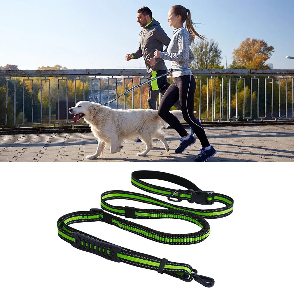 2024 New Running Hands Free Quality New Training Walking Reflective Nylon Heavy Duty Rope Pet Dog Cat Leash Lead Collar Set