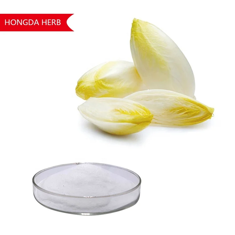 Hongda Supply Organic Inulin Chicory Root Extract 90% Inulin 90% 95% Inulin Powder