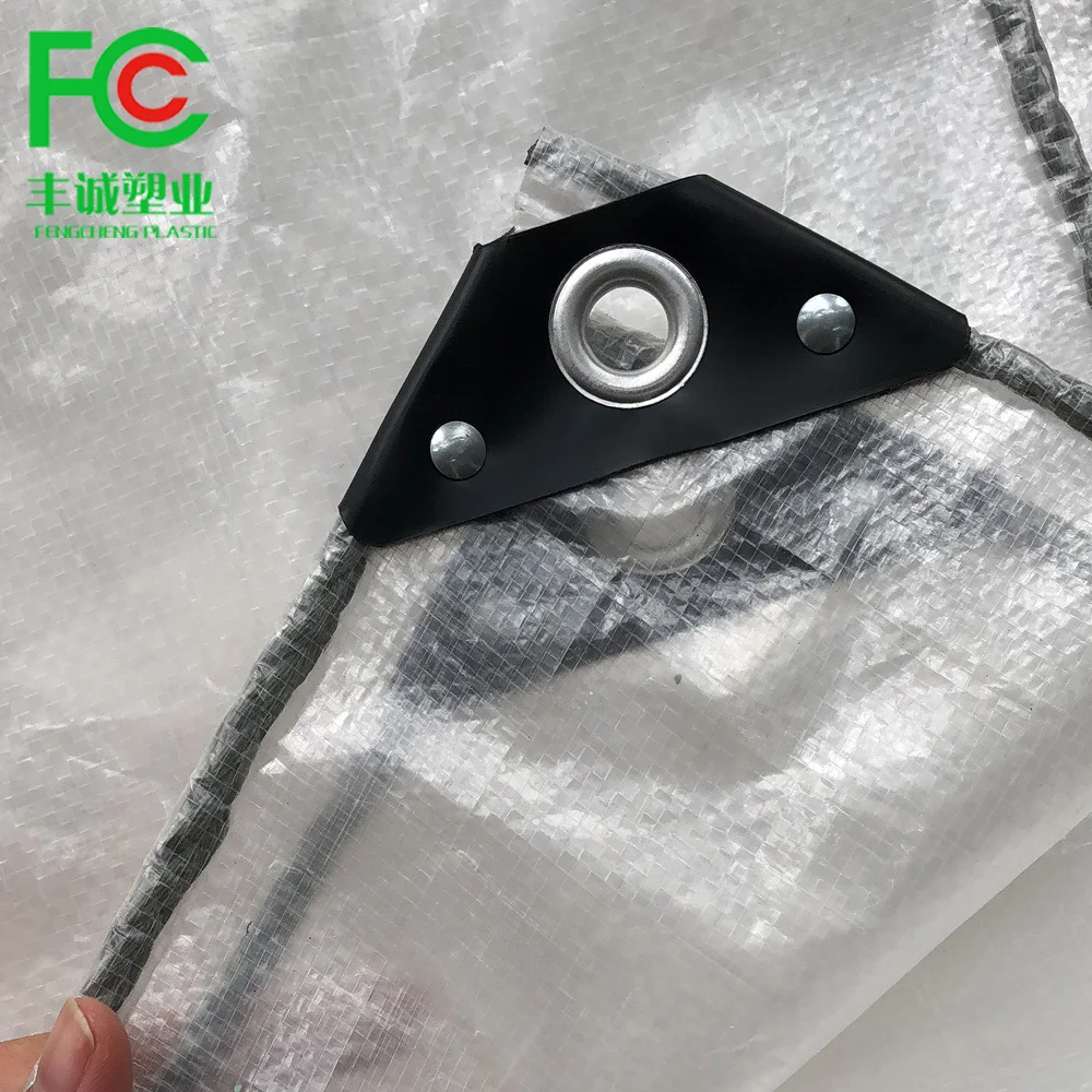 Orchard fruit trees covering clear rainproof Cherry crop protected under plastic covers anti sun wind bird