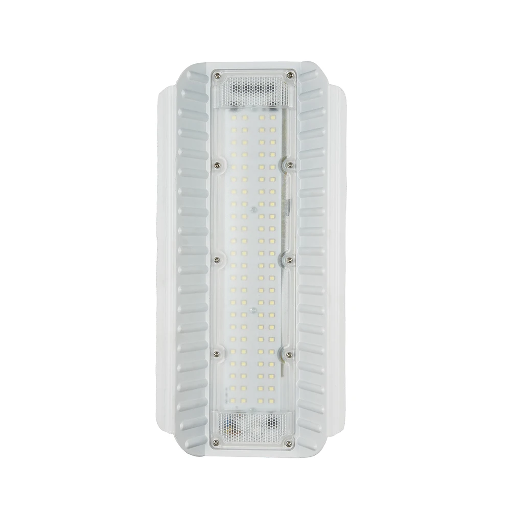 50W 100W  high power street lights flood cob led home gate lamps