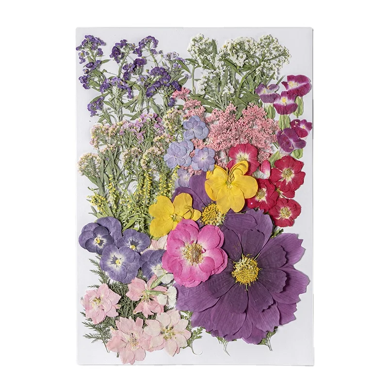 110 шт./упаковка прессованные сухие цветы