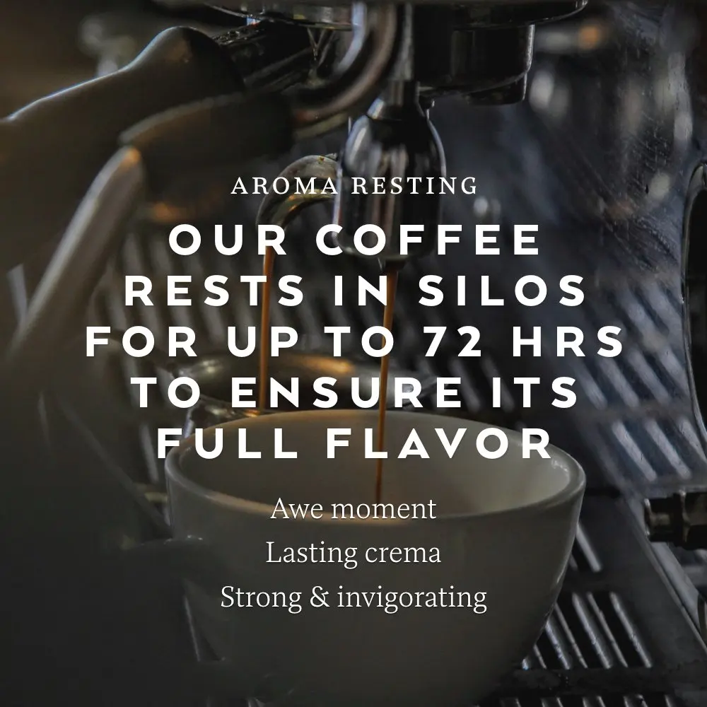 Occaffe эспрессо классический 250 г итальянские зерна для