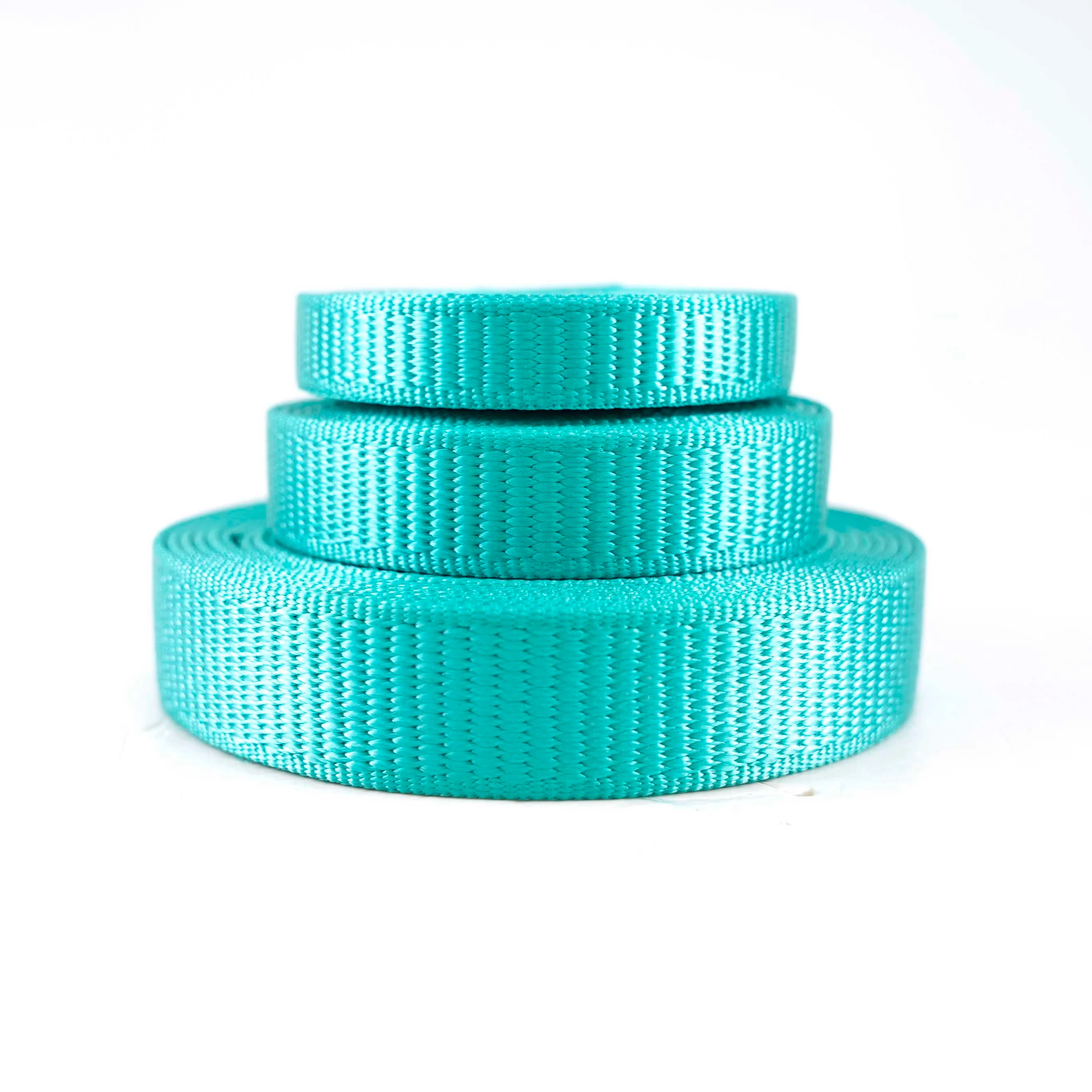 2021 hot sales and Eco-Friendly high strength  Plain Nylon webbing strap for Bag and Luggage