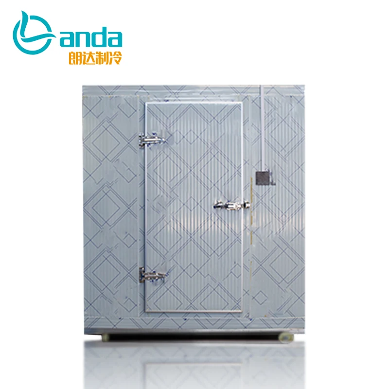 Blast Freezer Equipment Cold Store For Fruit And Vegetables Cool Storage Room Modular Cooler room
