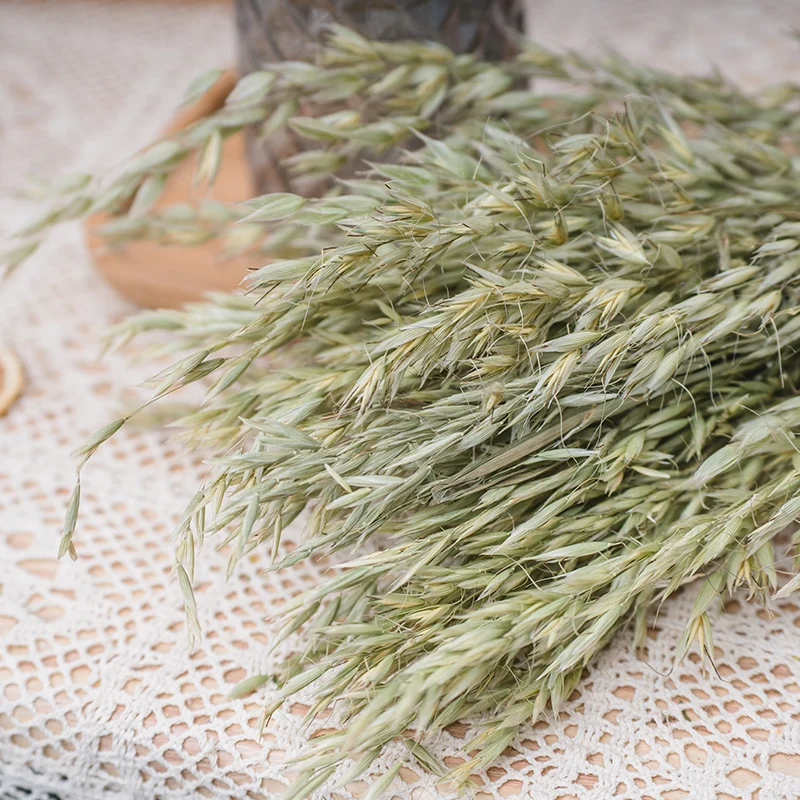 high quality Oat Flower Natural Dried Wheat Sheaves Fall Arrangement Oat Bouquet Bundle Flower for DIY Home Table