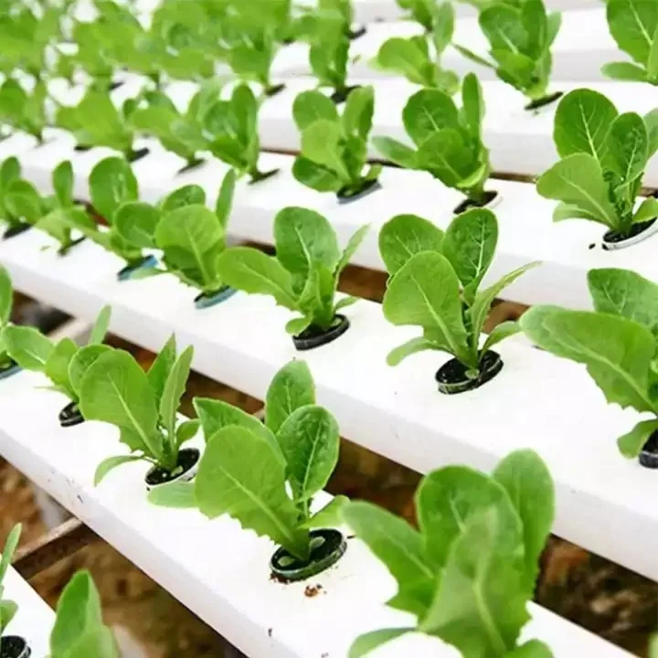 Hot Sale UV Plastic Square PVC Pipe Sizes White100*100mm Zip Hydroponics Pipe  NFT PVC Pipe Price