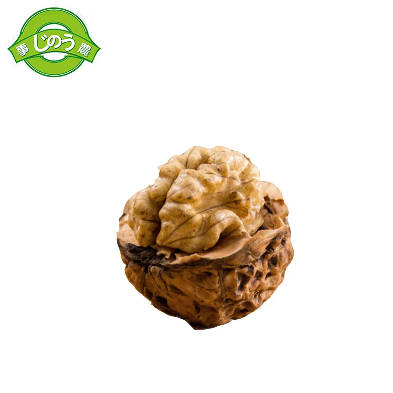 
walnut without shell and in shell raw walnut kernel 