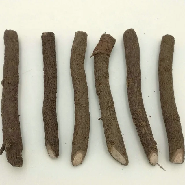 
Paulownia Tomentosa Root Cuttings for planting 