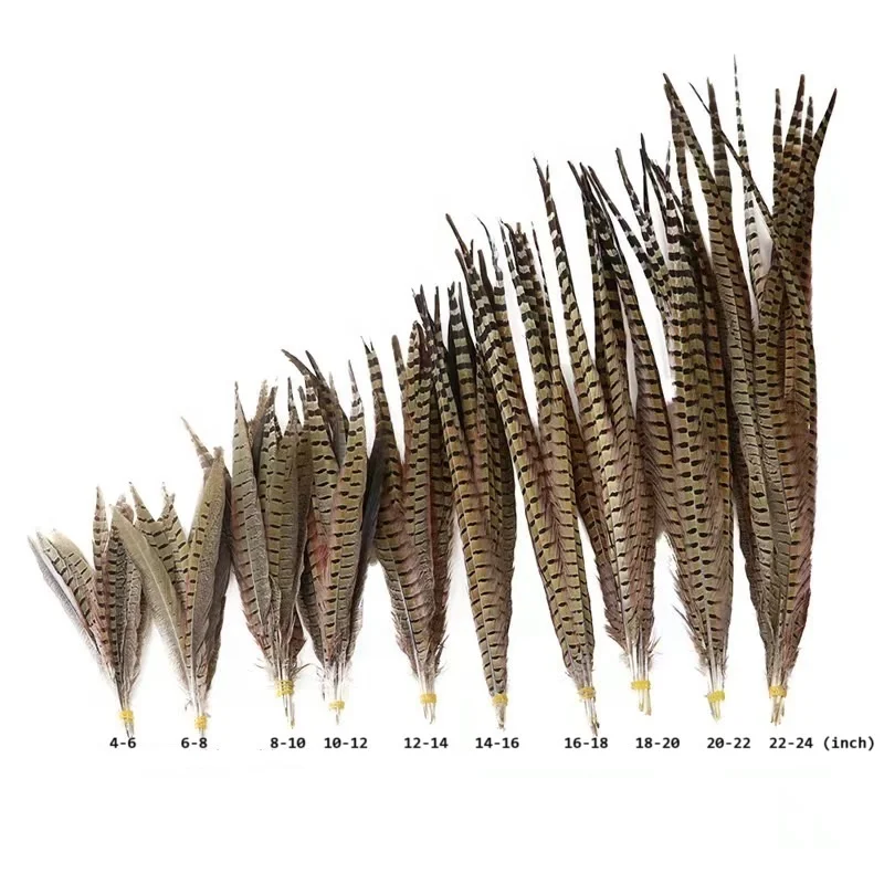 16-18 inch Natural ringneck tail feathers bulk pheasant feather for dance carnival headpiece costumes fly fishing fly tying
