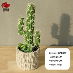 Cactus Plants Factory Direct Bonsai Cement Artificial Cactus Plants CAB0001