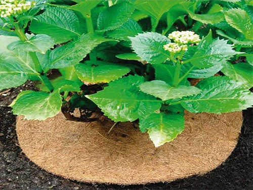 Coir Mulch Mat натуральное экологически чистое Кокосовое волокно Tree Ring