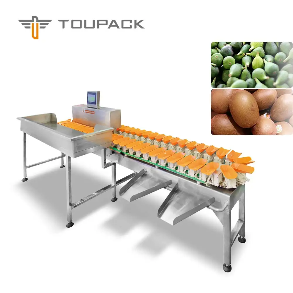 Check Weigher 6 Level Conveyor Belt Tomato Grader Fruit Sorting Machine Apple