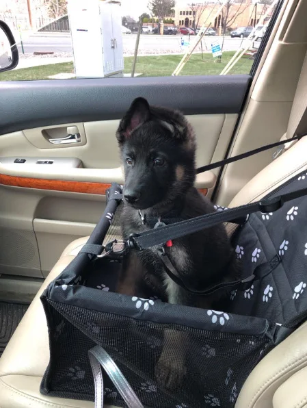 High Quality Car Dog Pad Anti-Dirty Waterproof Rear Seat Car Dog Pet Seat Cover