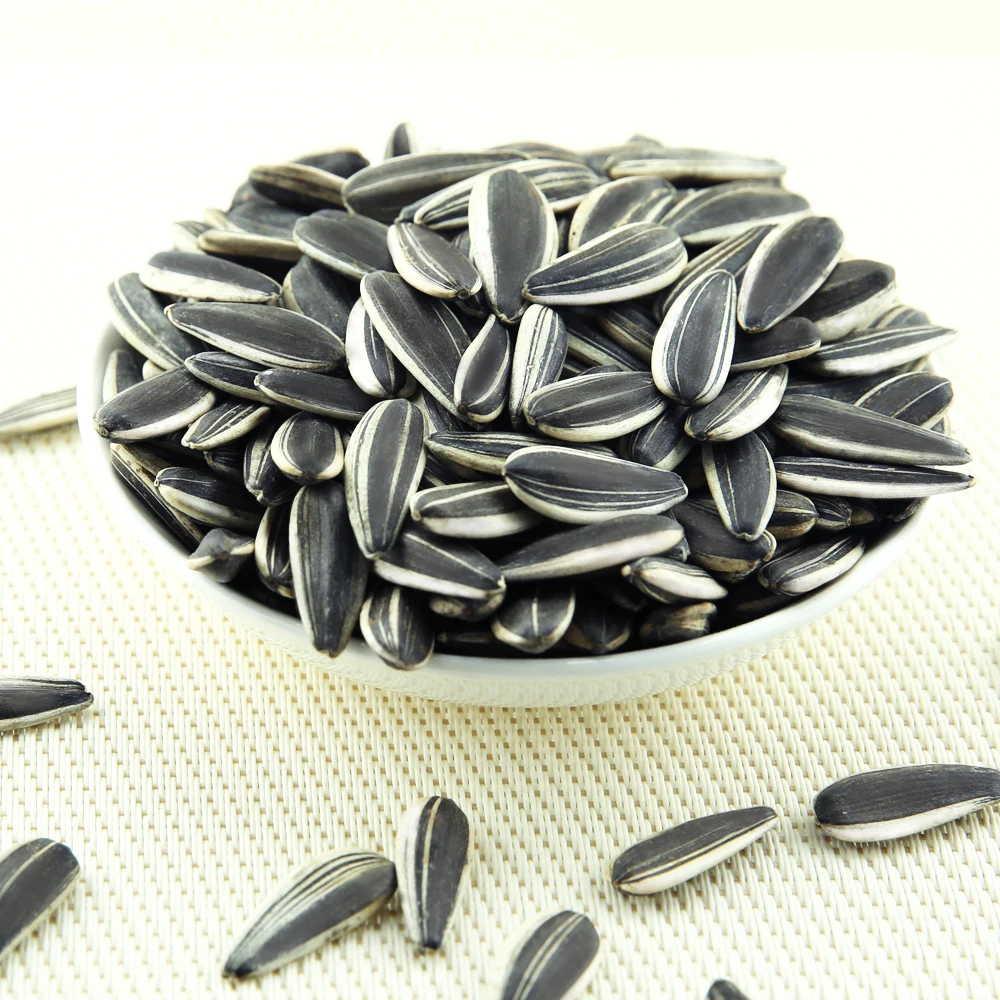 Cheap Sunflower seeds Chinese sunflower 363