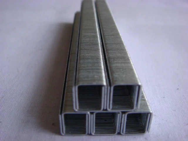 China Factory Price 21GA Galvanized 80 Staples 8006 8008 8010 8012 8014