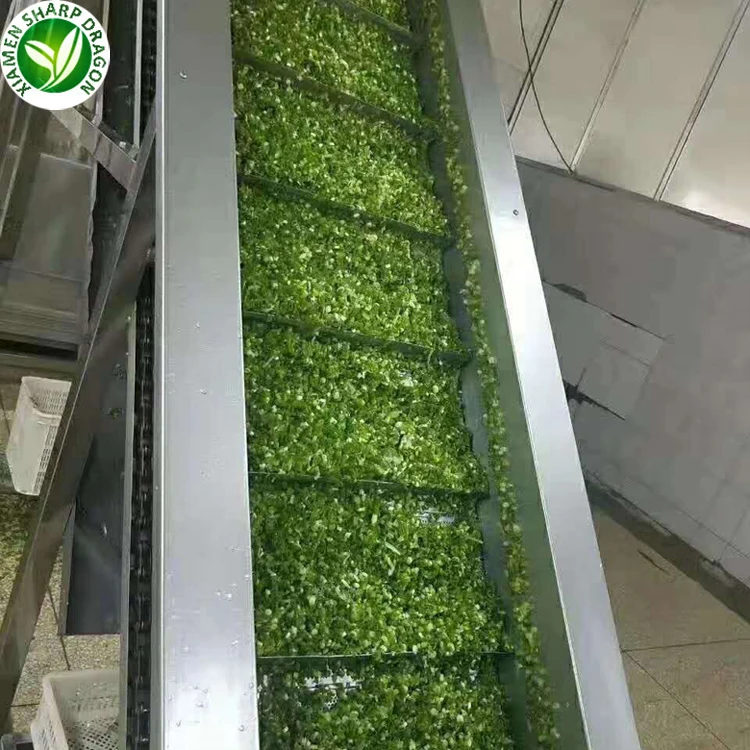 Chinese Supplier IQF Vegetable Packaging Price Frozen Fresh Green Chives