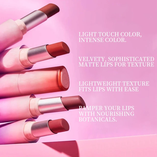 Waterproof Matte Lipstick Long Lasting Transfer Proof Lip Stick - A Bold Plan