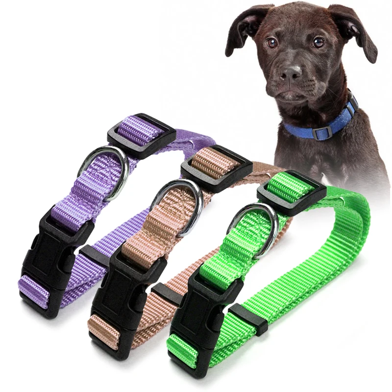 New Plastic Buckle Vegan Solid Blank Woven Adjustable Puppy Small PP Nylon Custom Perros Mascota Cat Pet Dog Collar