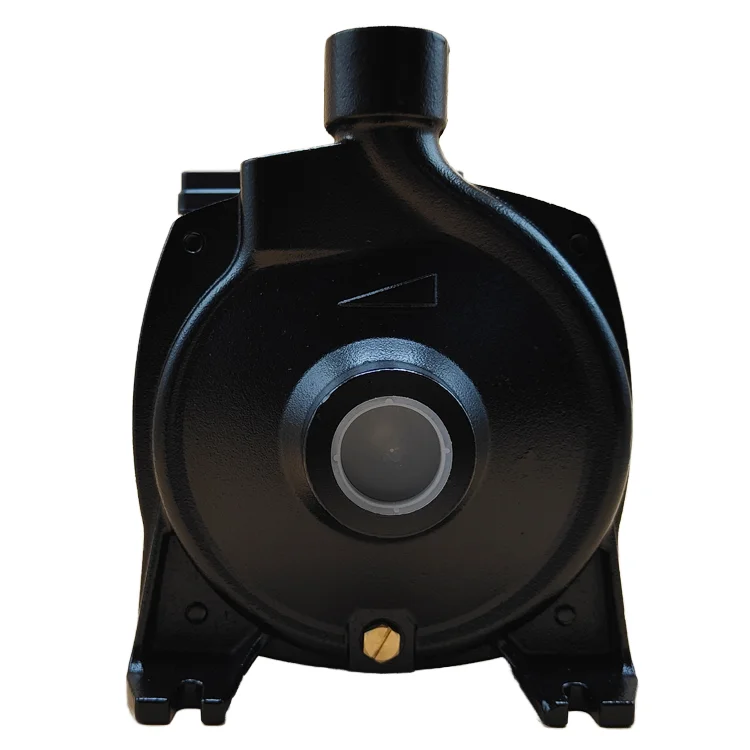 Customizable 2HP High-Pressure Centrifugal Pump for Agriculture and Irrigation OEM Big Flow Electric Pump