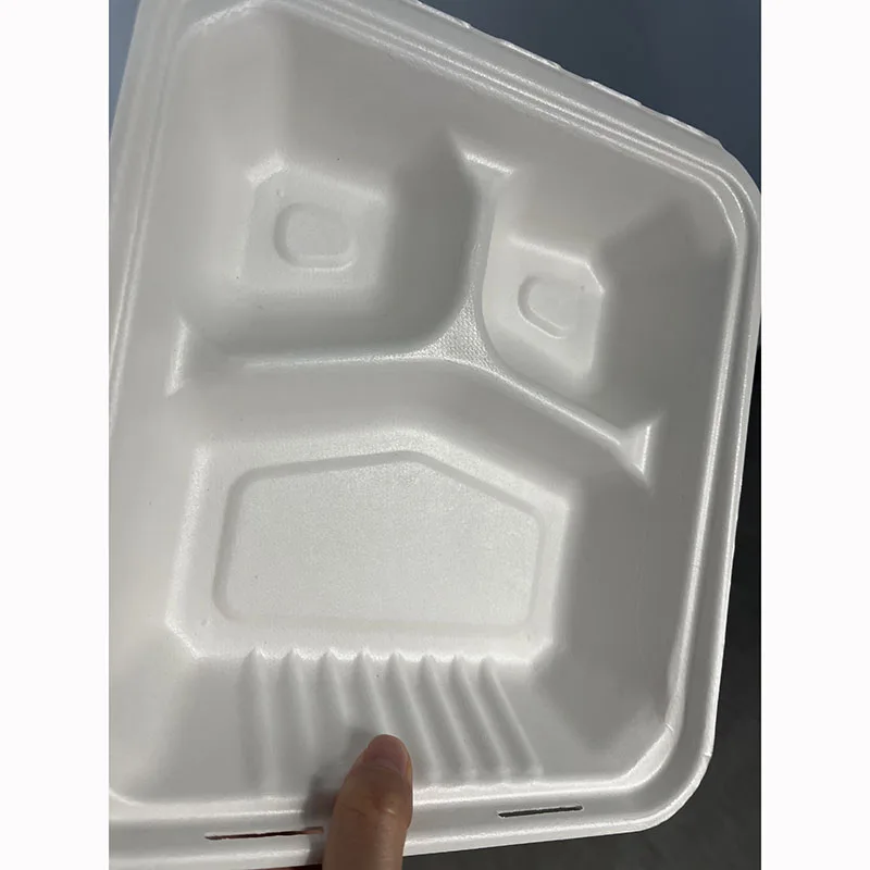 no added pfas bagasse food container Compostable PLA PET coating lamination film bagasse paper pulp takeaway food packaging box