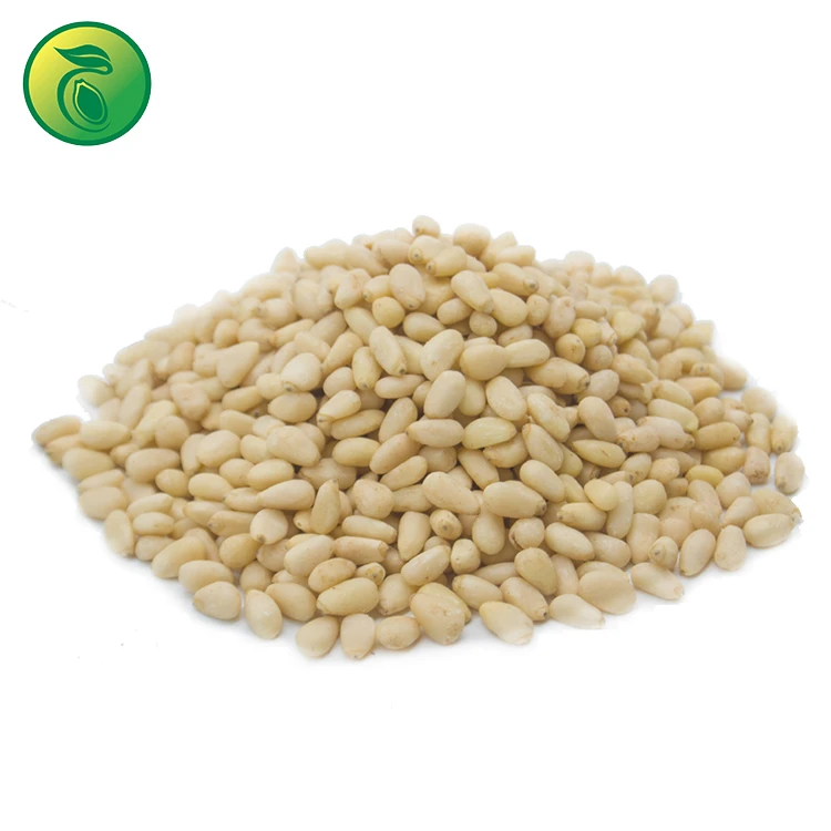 Pine Nuts Usa Pine Nuts Pakistan Pine Nuts Prices