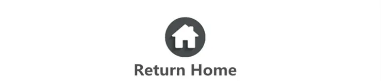 Return Home_
