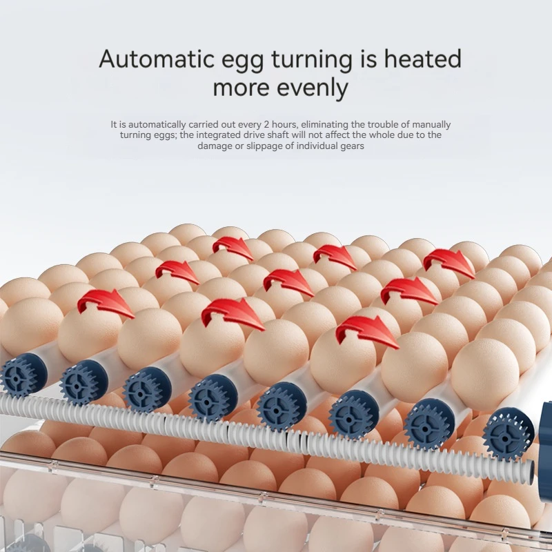 Automatic Temperature Hot sale 192 Egg Incubator Hatcher Digital Goose Capacity Chicken Turning Control Energy-saving small Size