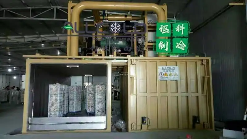 Fast vacuum cooling container room condenser unit for fresh picked celery broccoli cauliflower vegetable vacuum cooler