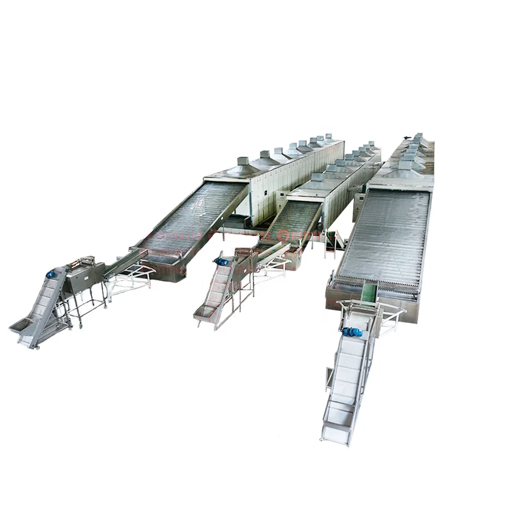 60 Trays 12 Tray Fruit Home Mushroom Mango Tomato Potato Commercial Food Egg Dehydrator Machine