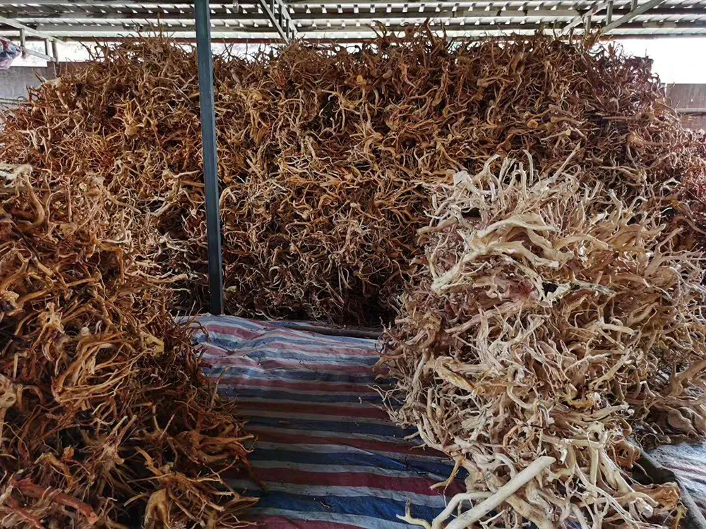 Wholesale aquarium natural aquarium bleach wood